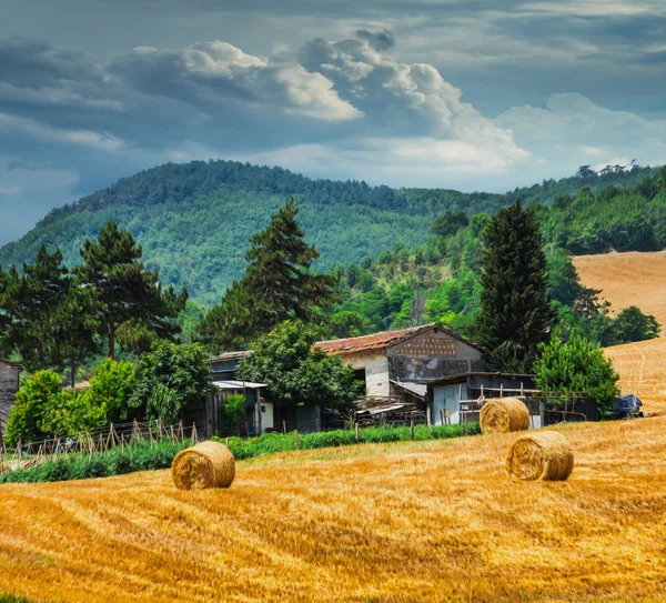 Landelijk landschap met huizen — Stockfoto