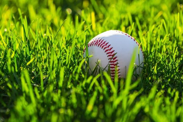 Baseball Ball on Grass Field — Stock Photo, Image