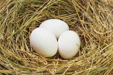 Paskalya yumurtaları ile iç içe geçirme