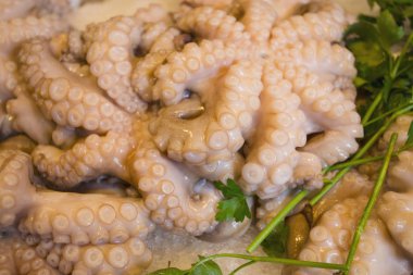 bir balık pazarında taze ahtapot