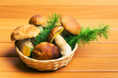 Porcini mantarlı sepet.