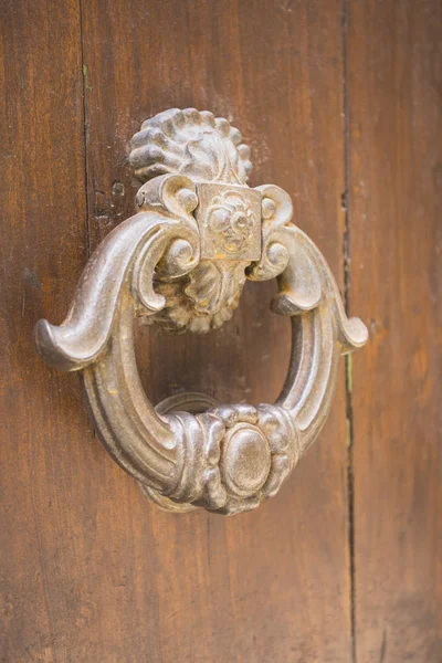 Dveře s kovové klepadlo — Stock fotografie