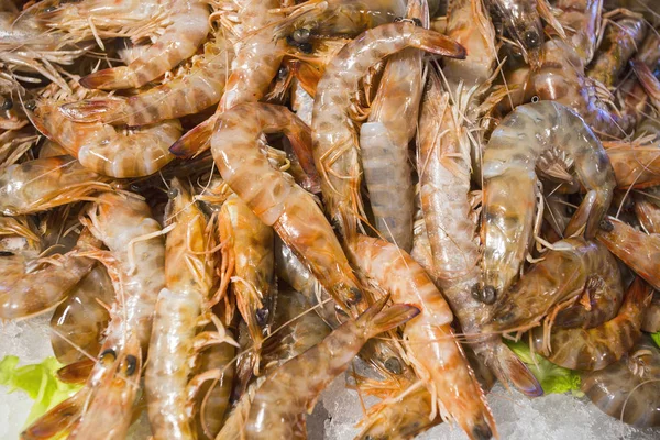 Crevettes sur un marché aux poissons — Photo