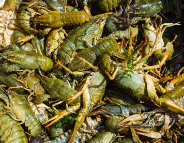 canlı kerevides arka planı