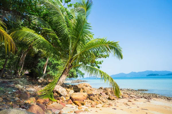 Beautiful tropical beach — Stock Photo, Image