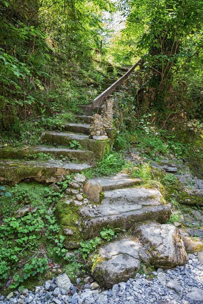 Passos de pedra antigos para as selvas selvagens — Fotografia de Stock