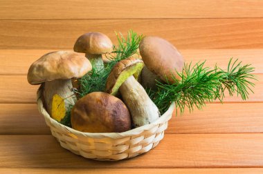 Porcini mantarlı sepet.