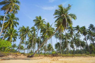 güzel tropikal beach Adası koh chang adlı 