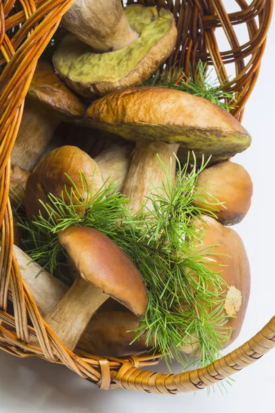 Cesta con champiñones porcini —  Fotos de Stock