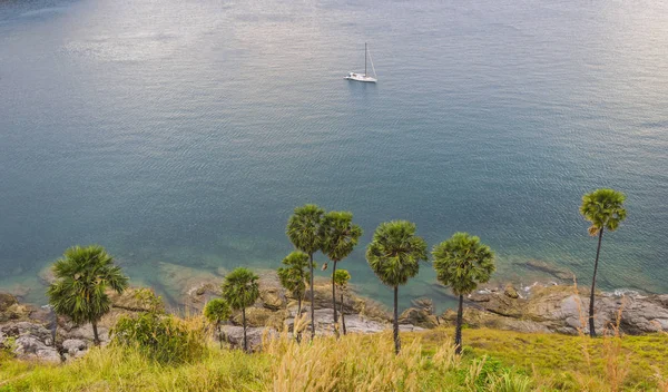 Palme sulla spiaggia sull'isola di Phuket — Foto Stock