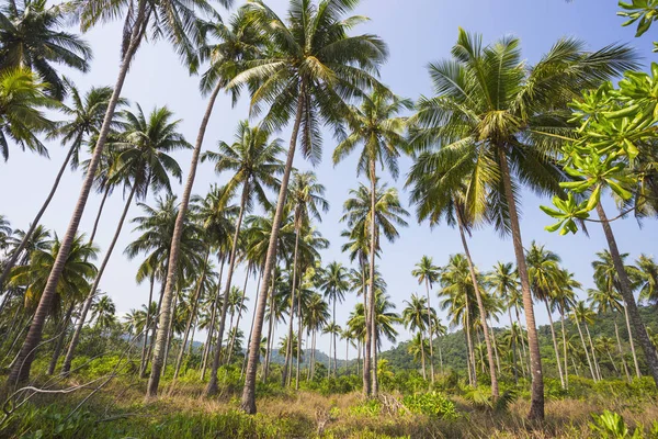 Beautiful tropical beach at island Koh Chang — Stock Photo, Image