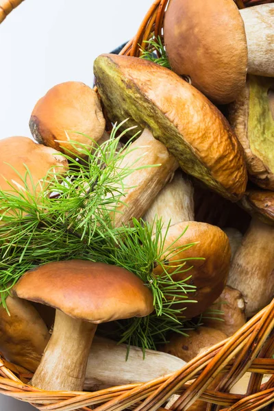 Basket with porcini mushrooms — Stock Photo, Image