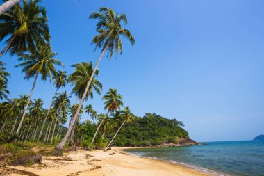 güzel tropikal beach Adası koh chang adlı 