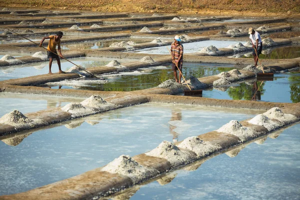 Производство соли на ферме в Индии — стоковое фото