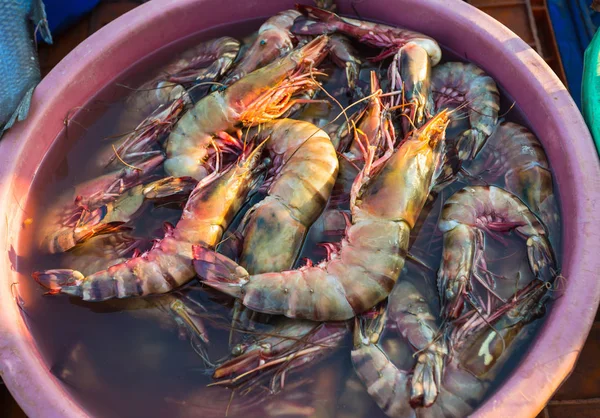 Vente de crevettes sur les marchés de l'Inde — Photo