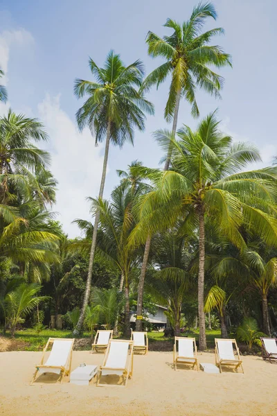 Tropisch strand op het eiland koh chang — Stockfoto