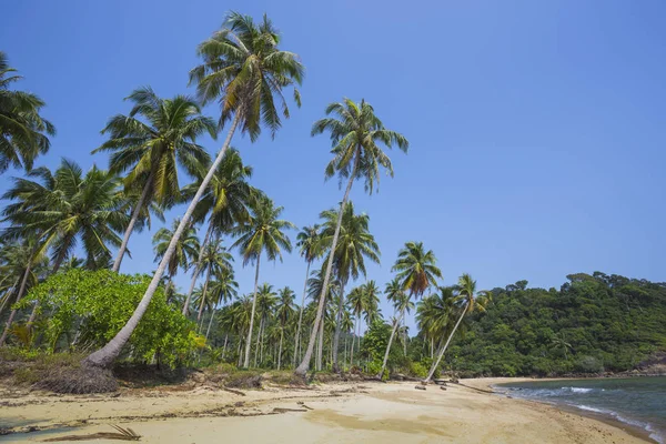 美丽的热带海滩岛象岛 — 图库照片