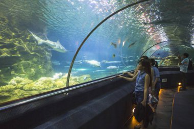 Loro parque akvaryumdaki su tüneli