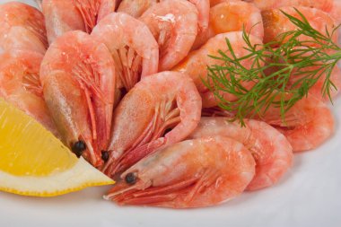 Fort Aguada Goa turistler için popüler bir yer