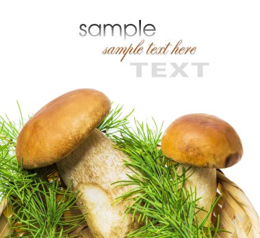 Porcini mantarlı sepet.