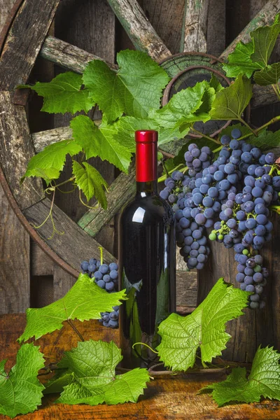 Une bouteille de vin rouge sur fond de raisin — Photo