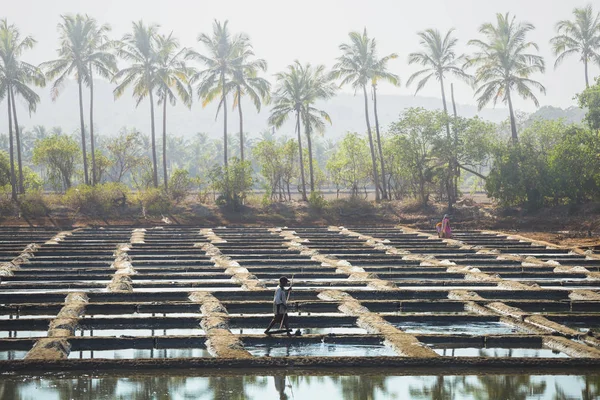 Salzproduktion auf einem Bauernhof in Indien — Stockfoto
