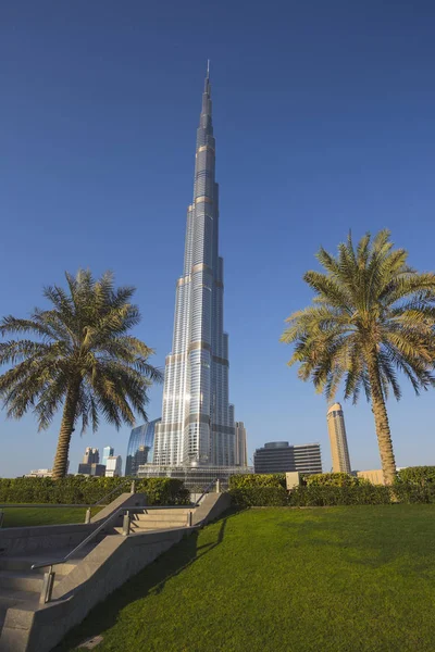 Dubai Emiratos Árabes Unidos Noviembre Edificios Gran Altura Calles Nov —  Fotos de Stock