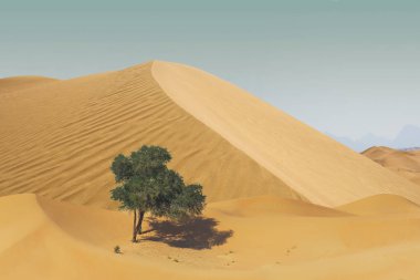 Fort Aguada Goa turistler için popüler bir yer