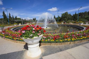 Şehir Çiçek bahçesinde dalat, vietnam