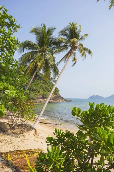 Beautiful tropical beach at island Koh Chang — Stock Photo, Image