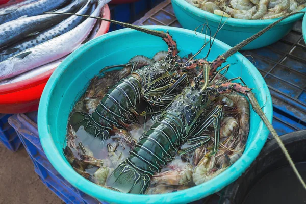 Sale of lobsters in the markets of India — Stock Photo, Image