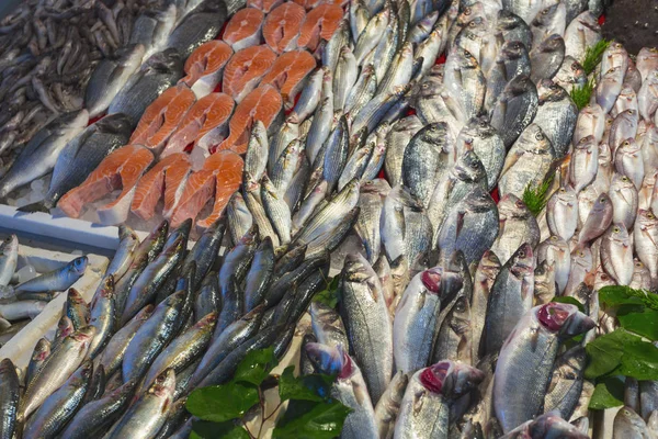 Sale of fish and seafood in the eastern markets in Turkey — Stock Photo, Image