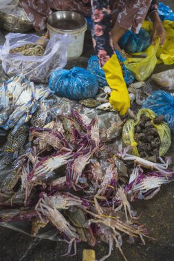 Nha Trang, Vietnam. 1 Aralık 2014. Balık ve deniz ürünleri pazarında satışı. Nha Trang, Vietnam