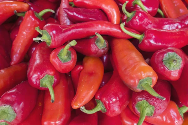 Sıcak kırmızı biber satışı 