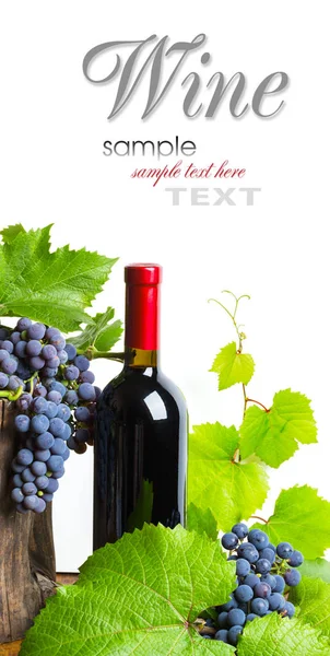 Flasche Rotwein Mit Trauben Auf Weißem Hintergrund — Stockfoto
