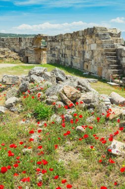 Pamukkale harabelerde rezervuar ve teraslar ile jeotermal springs yakınındaki