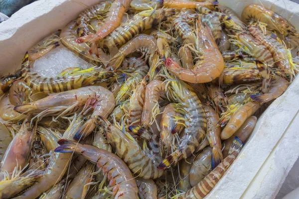 물고기와 해산물 터키에서 시장에서의 — 스톡 사진