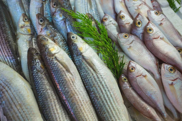 Venda Peixe Marisco Nos Mercados Orientais Turquia Contexto — Fotografia de Stock