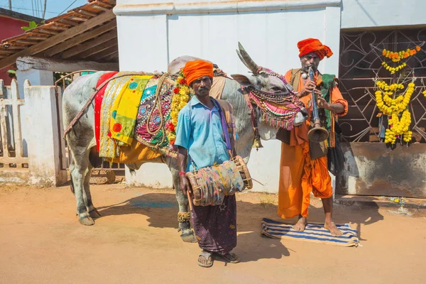 印度果阿 2017 与市场上的受过训练公牛的音乐家 — 图库照片