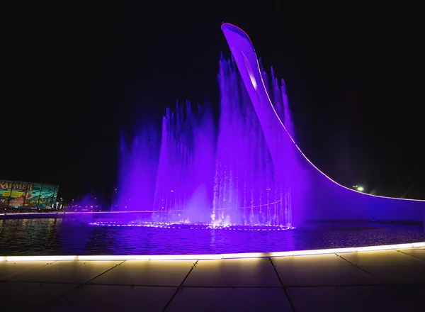 Sochi Russia Haziran 2016 Olimpiyat Ateşi Kase Firebird Akşam Olimpiyat — Stok fotoğraf