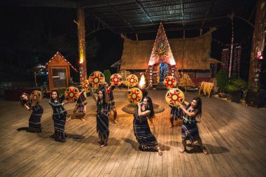 Dalat, Vietnam. 26 Kasım 2014. Ulusal Vietnamca dansları ile kamp ateşi etrafında eğlence gece göstermek