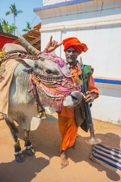 Hindistan, Goa, 15 Şubat 2017. Piyasada eğitimli bir boğa ile müzisyenler