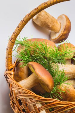 Porcini mantarlı sepet.