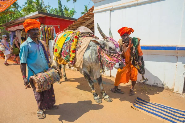 印度果阿 2017 与市场上的受过训练公牛的音乐家 — 图库照片