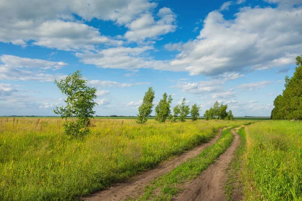 Träden Mitten Det Gröna Fältet Bakgrund Blå Himmel Med Moln — Stockfoto