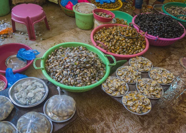 Verkoop van schaal-en schelpdieren in de markten van India — Stockfoto