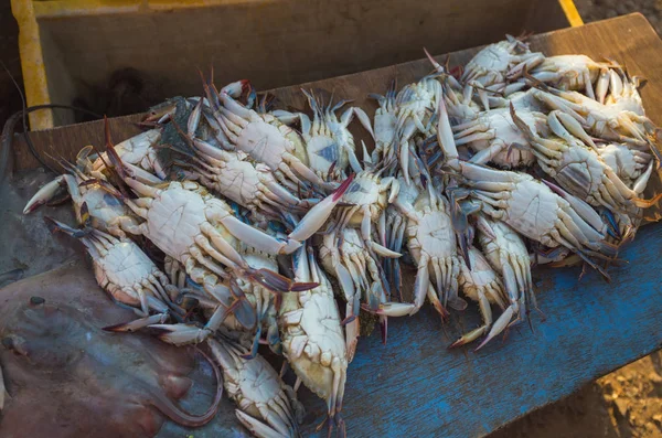 Sale of crabs in the markets of India — Stock Photo, Image