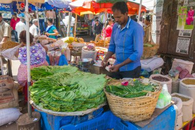 Hindistan, Goa. 10 Şubat 2017. Goa piyasada tembul (pan masala) yaprakları