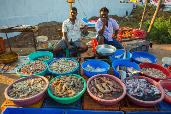 India Goa Marzo 2017 Pescado Otros Mariscos Los Mercados Goa —  Fotos de Stock