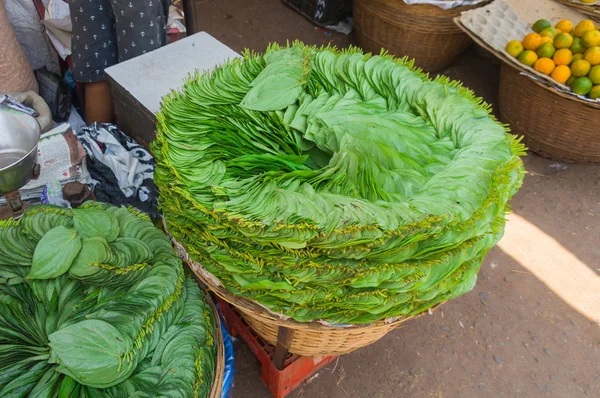 Φύλλα του betel στην αγορά στην Γκόα — Φωτογραφία Αρχείου